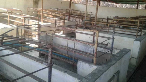 Imagen 4 de 14 de Finca Productiva Para Cria De Porcinos En Parapara De Ortiz