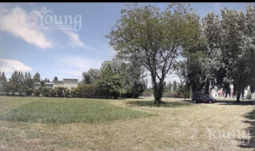 Imagen 9 de 19 de Retazado Terreno Proyecto Aprobado - Campos De Roca L