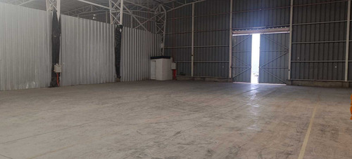 Bodega C: 540 M2 (100880)