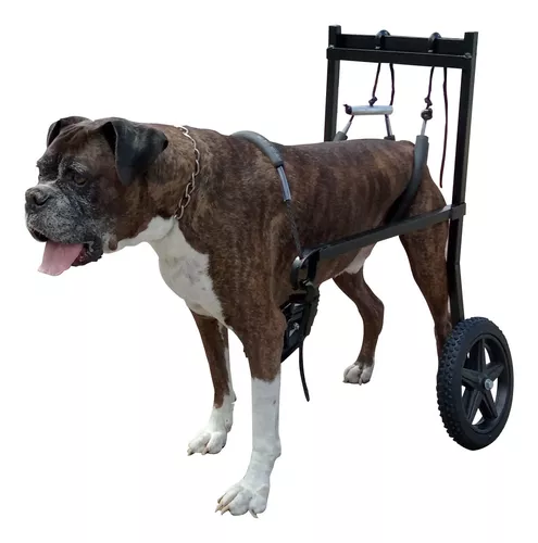 Carros ortopédicos - sillas de ruedas para perros y gatos added a new -  Carros ortopédicos - sillas de ruedas para perros y gatos