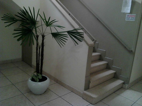 Imagem 3 de 13 de Sala Comercial Para Alugar Na Rua Amador Bueno, Centro, Santos - Sp - Liv-3933