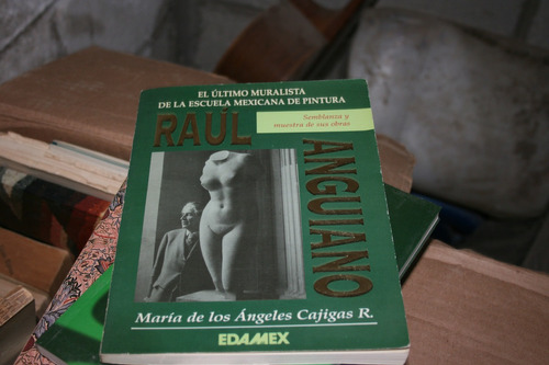 Raul Anguiano , Maria De Los Angeles Cajigas , 83 Paginas