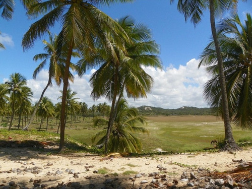 Imagem 16 de 19 de Terreno Frontais Ao Mar, Na Praia De Costa Azul, Litoral Norte Da Bahia - Ar386