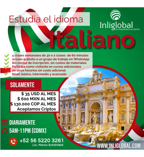 Curso De Inglés/alemán/francés Online En Tiempo Real