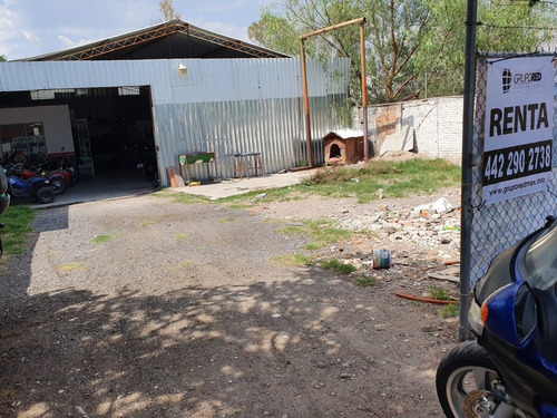 Imagen 6 de 8 de Bodega En Renta En El Pueblito Corregidora Queretaro