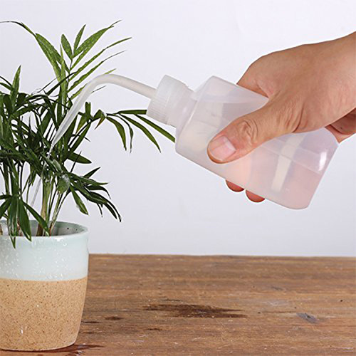 Botella De Agua Con Forma De Flor Y Suculentas, 2 Unidades,