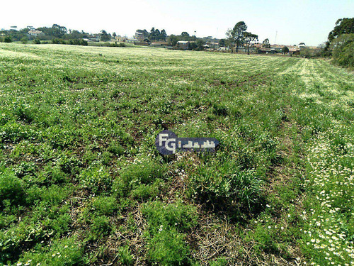 Imagem 5 de 20 de Terreno À Venda, 41125 M² Por R$ 6.167.000,00 - Campo Largo Da Roseira - São José Dos Pinhais/pr - Te0085