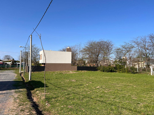 Lotes 150 Entre 41 Y 42 - Liquidámbar San Carlos