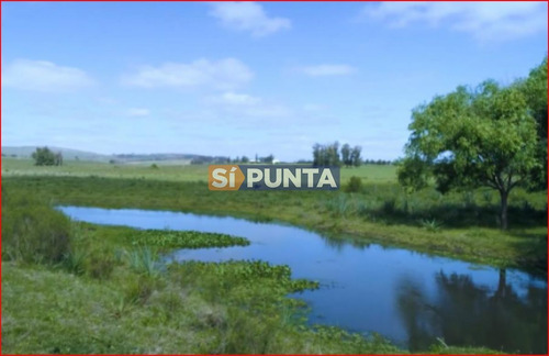 Imagen 3 de 7 de Chacra En Venta