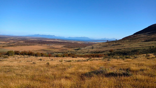 Parcela En Cerro Dorotea Con Una Vista Privilegiada 