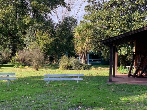 Imagen 5 de 26 de Quinta En Venta- Pilar