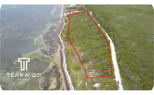 Lotes Exclusivos En Mahahual A Pie De Playa