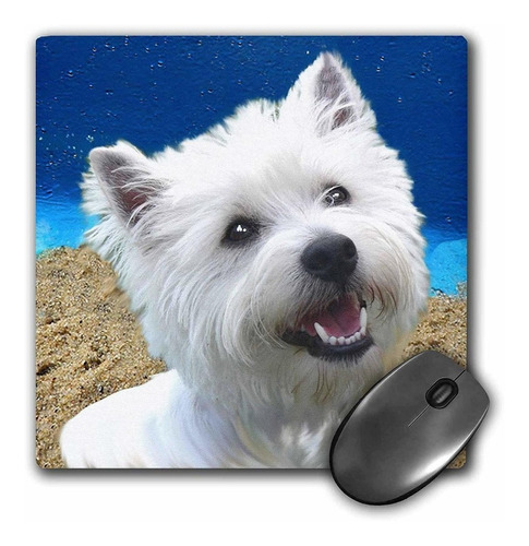 3drose Llc 8 x 8 x 0.25 inches Mouse Pad, West Highland T