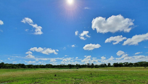 Imagem 25 de 30 de Fazenda 1470 Hectares, Fácil Acesso, Rica Em Água Com Açudes, Mangueiro Completo, Casa Sede, Casa De Funcionário, 700 Hectares Formadas Em Brachiaria - Fa00219 - 70654361