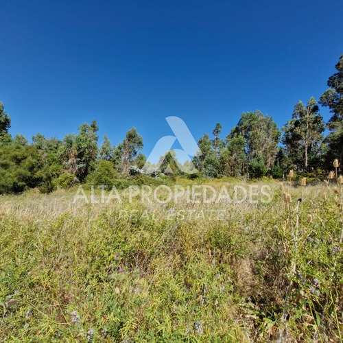 Parcela En Venta Sector Huenucheo, Cruce A Liucura