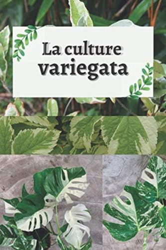 La Culture Variegata: La Monstera Variegata Et Les Plantes Rares Avec Variations Chromatiques (french Edition), De Hanin, Emilie. Editorial Oem, Tapa Dura En Francés