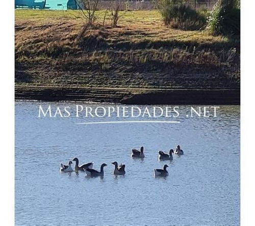 Imagen 4 de 4 de Terreno A La Laguna En Tiempos De Canning Lacus