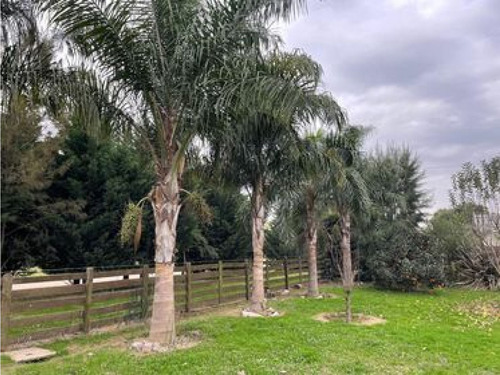 Lote Ubicado En El Barrio Sanchez Espuelas - 15 X 50