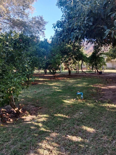 Parcela Con 2 Casas De Madera Construidas