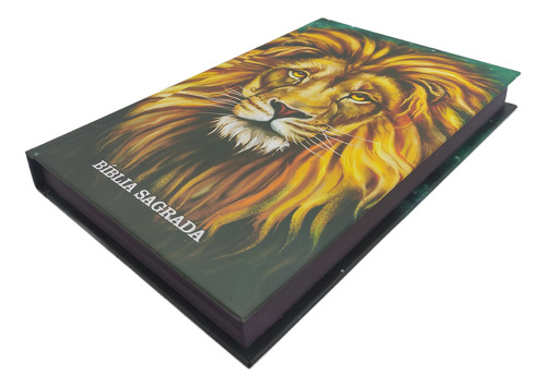 Bíblia Sagrada Slim Arc | Harpa E Corinhos | Capa Dura Leão Aslam