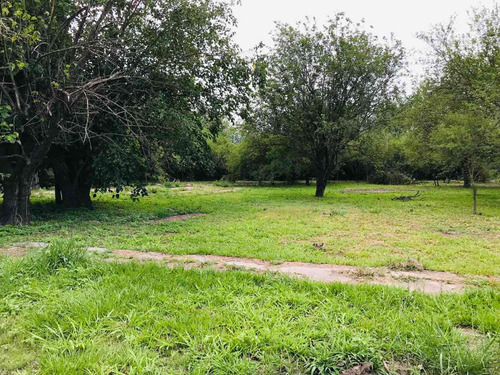 Imagen 10 de 18 de Hectarea + Galpon + Casa Venta A Metros De Ruta 26
