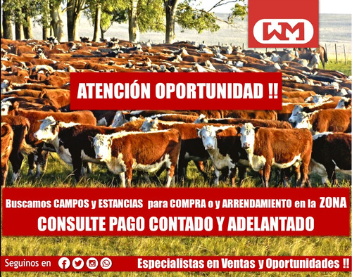 Compra Venta Campo Florida De 100 A 1500 Has Agrícola Ganadero Compramos O Arrendamos Pago Contado