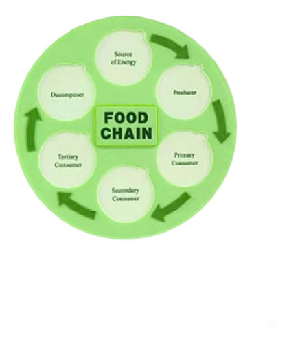 Ciclo De Vida Da Cadeia Alimentar Kit Party Favors Science