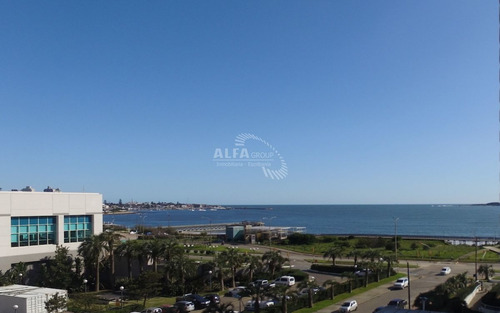 Imagen 14 de 18 de Saint Honoré - Mansa Pda. 4 - Punta Del Este Mansa