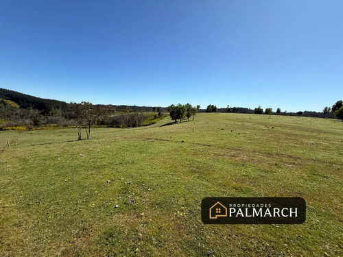 Venta Parcelas Urbanas En  Penco