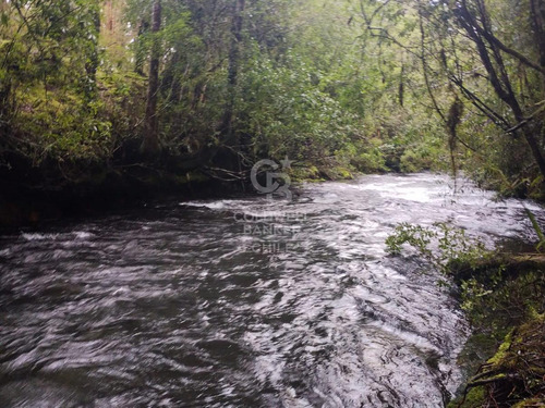 Campo Río Blanco | Orilla De Rio | Con Casa