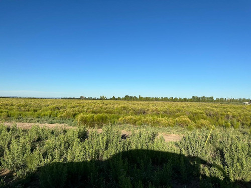 Imagen 17 de 17 de Vendo Campo De 300ha, San Rafael, Mendoza