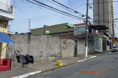 Imagem 7 de 7 de Terreno Para Venda, 0.0 M2, Vila Bruna - São Paulo - 1106