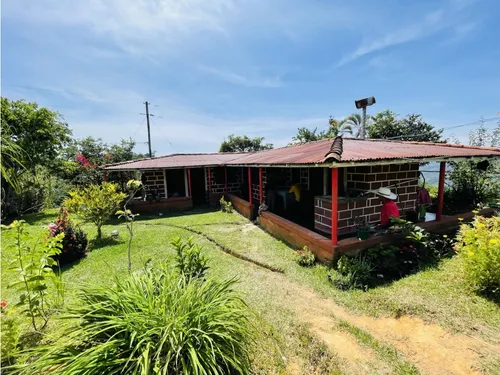 Se Vende Finca Productiva En San Roque, Antioquia.