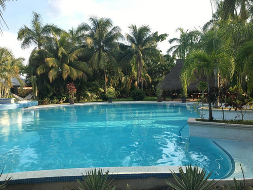 Imagen 6 de 11 de Residencial Terreno En Venta