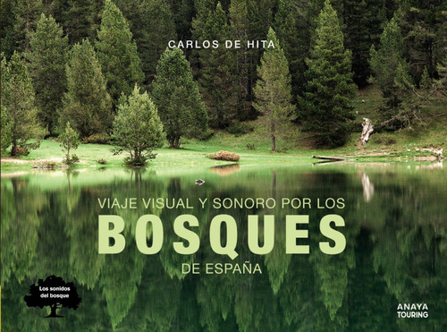 Viaje Visual Y Sonoro Por Los Bosques De España - Hita More
