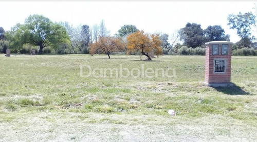Imagen 5 de 13 de Terreno Lote En Venta Ubicado En Solar De Alvarez (francisco Alvarez), Moreno
