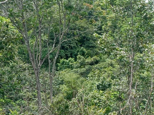 Imagem 4 de 14 de Excelente Terra Na Chapada Dos Veadeiros! Em Cavalcante Go