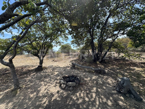 Terreno En Venta, En Vergel De La Sierra, En San Felipe, Gto.