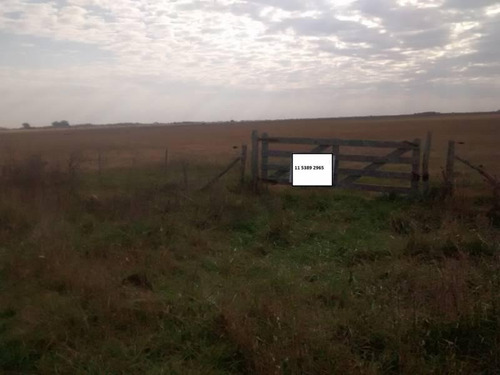 Imagen 2 de 8 de Campo - Punta Indio
