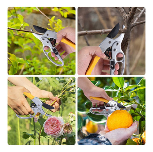 Sh Cortadores De Unhas De Jardim, Tesouras De Poda Alemãs,
