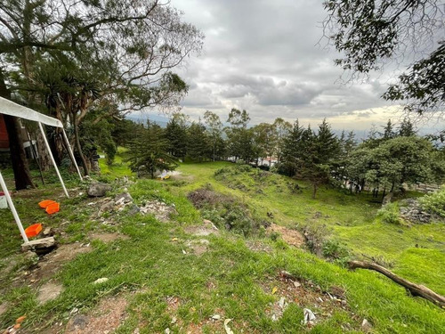 Imagen 6 de 8 de Terreno En Venta San Andres Totoltepec