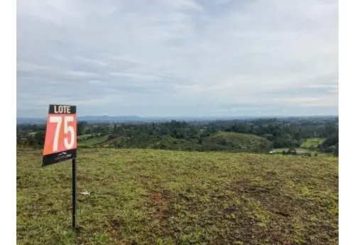 Lote En Llanogrande Hills Rionegro