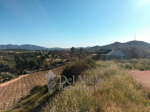 Imagen 1 de 18 de 3 Hectáreas En Valle De Guadalupe A Un Lado De Clos De Tres