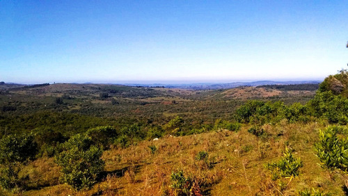 Campo 35 Hás Sierras De Caracé Maldonado Ideal Viñas-olivos