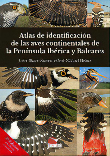 Atlas De Identificacion De Las Aves Continentales De La Peninsu (, De Javier Blasco Zumeta Ger Michael Heinze. Editorial Tundra Ediciones, Tapa Blanda En Español