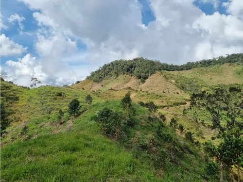 Lote En Vender En Barbosa