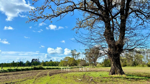 Terreno Construccion En Venta En Río Negro