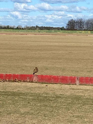 Terreno Con Añosa Arboleda Orientación Norte, A La Cancha De Polo.