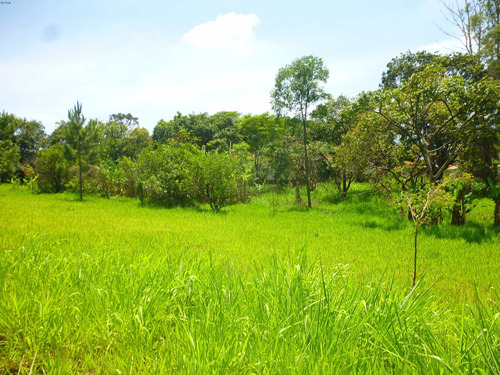 Imagem 9 de 18 de Terreno A Venda, Colinas De Indaiatuba Ii, Indaiatuba - Tr01631 - 4229513