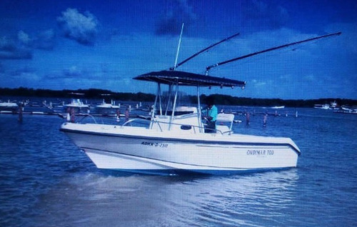 Boston Whaler 24 Pies